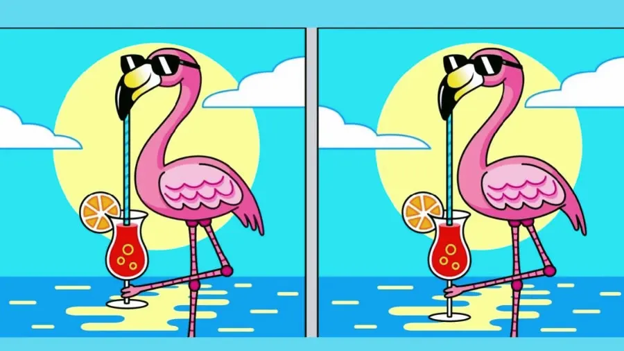 Tes IQ: Temukan 3 Perbedaan pada Gambar Flamingo Berkacamata Ini