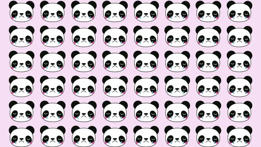 Tes Penglihatan: Temukan Panda Paling Berbeda di Balik Gambar Ilusi Optik Ini,