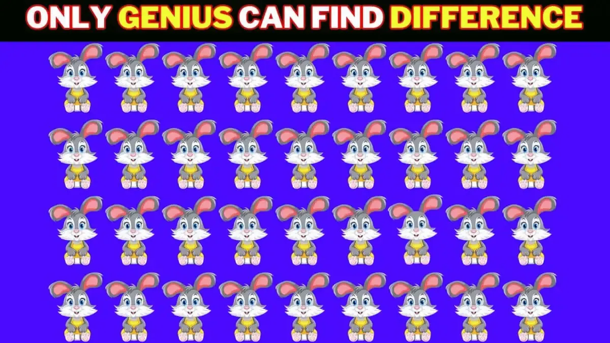 Tes Penglihatan: Coba Temukan Kelinci Paling Berbeda pada Gambar Ilusi Optik Ini