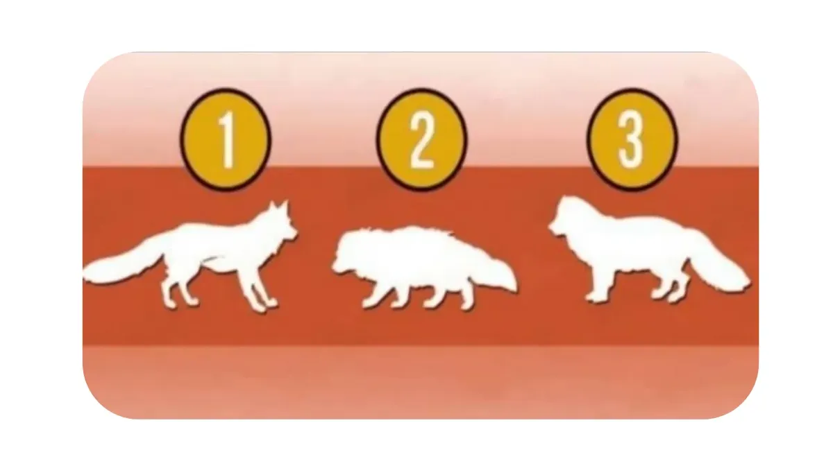 Illustrasi Tes Kepribadian