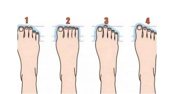 Illustrasi Tes Kepribadian