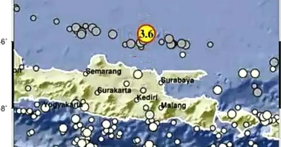 Guncangan yang berdurasi 15 detik ini dirasakan sedang di Kabupaten Tuban, dan daerah lainnya seperti kabupaten Rembang berdurasi 50 detik.