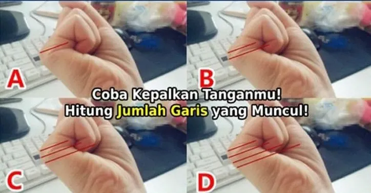 Watak, Kepribadian dan Rezeki Berdasarkan Garis yang Muncul saat Tangan Dikepalkan, Cek Punyamu di Sini!