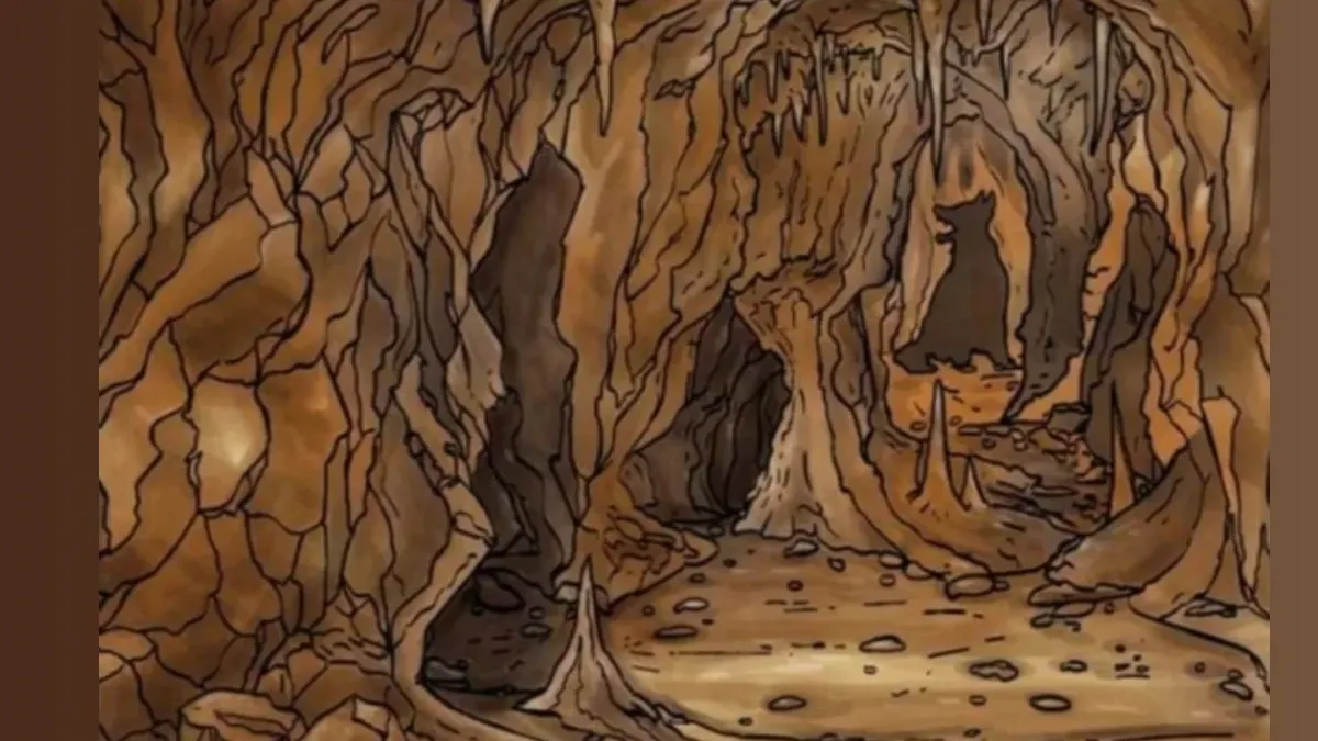 Illustrasi Tes Kepribadian
