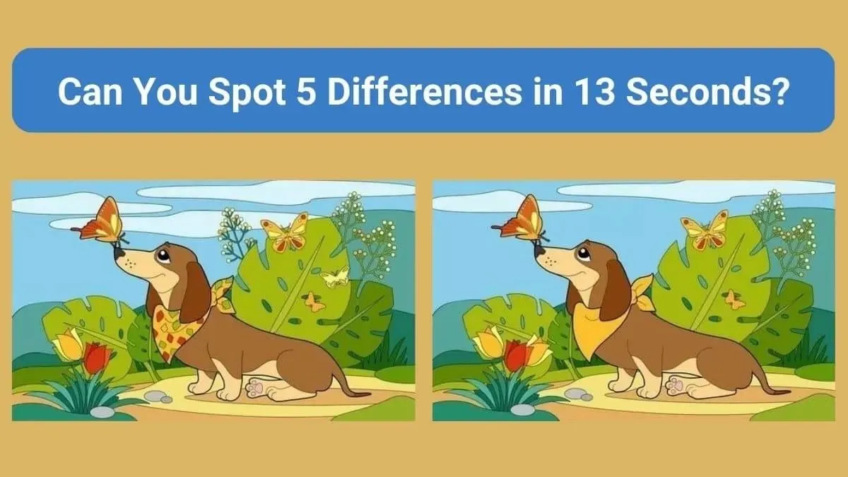 Tes Penglihatan: Temukan 5 Perbedaan Pada Gambar Anjing Ini Dalam 13 Detik