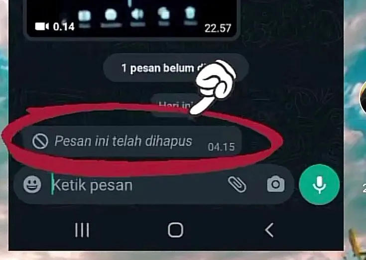 Cara Melihat Pesan WA yang Sudah Dihapus Tanpa Aplikasi Tambahan, Gampang Banget! (TikTok @gusnawati08_)