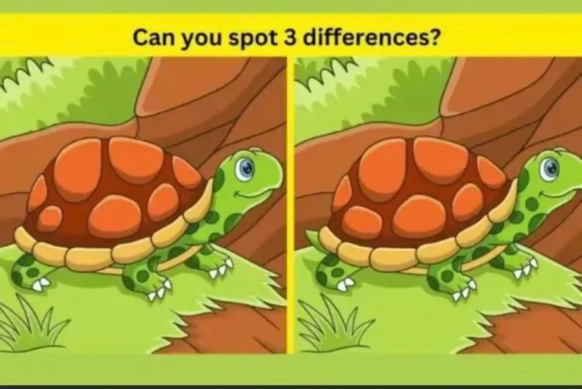 Tes IQ: Dalam 7 Detik Temukan 3 Perbedaan pada Gambar Kura-kura, Orang Bermata Tajam Pasti Bisa! 
