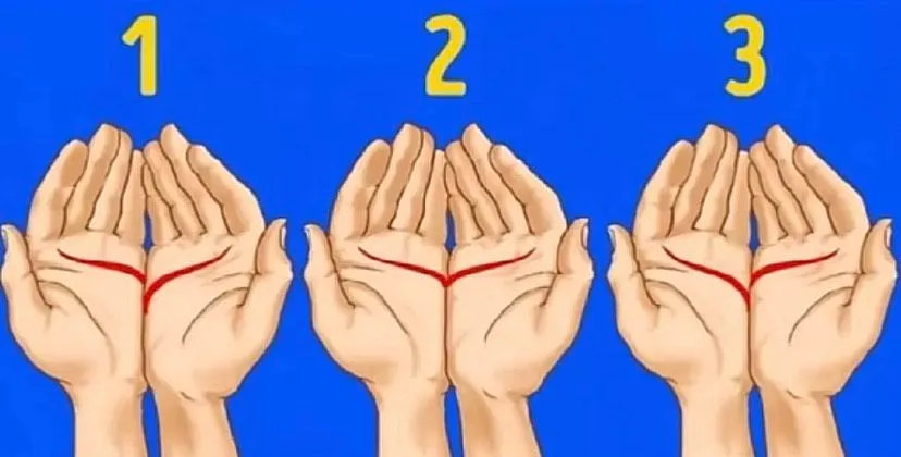 Mengungkap Kepribadian Percintaan Berdasarkan Garis Tangan, Kamu Nomor Berapa?