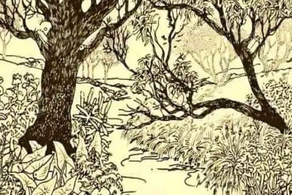 Tes Ilusi Optik: Bisakah Kamu Temukan Ikan Tersembunyi di Gambar Hutan dalam Waktu 11 Detik?