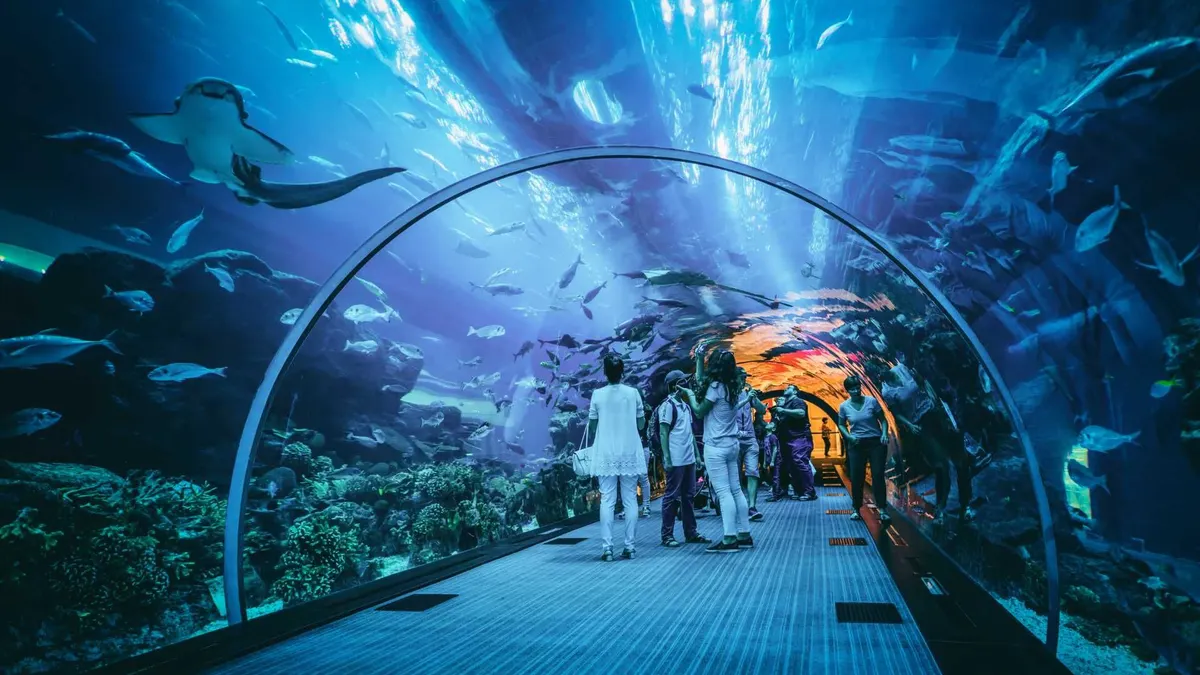 Jakarta Aquarium