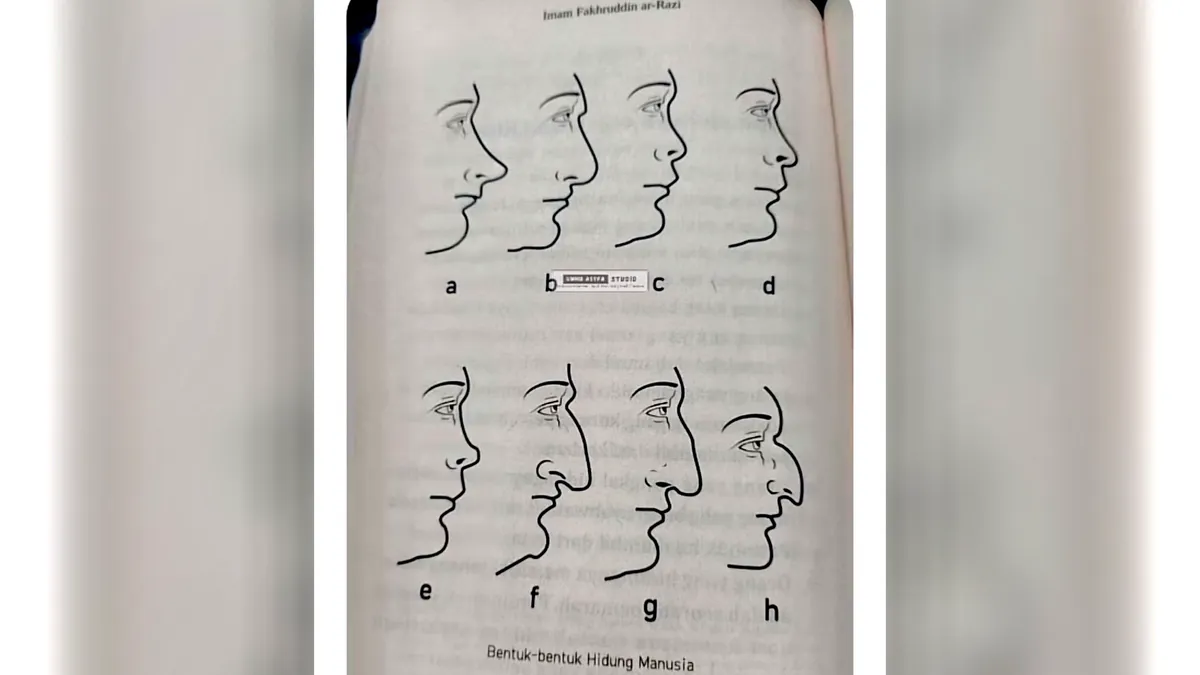 Ada 8 bentuk hidung yang bisa mengungkapkan bagaimana karakter serta kepribadian dominan dari seseorang.