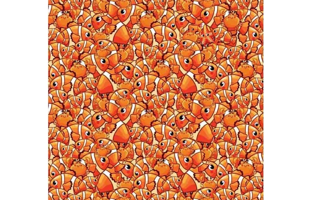 Menemukan seekor bintang laut di antara ikan dan kepiting bukanlah hal yang mudah, dikarenakan warnanya yang mirip.