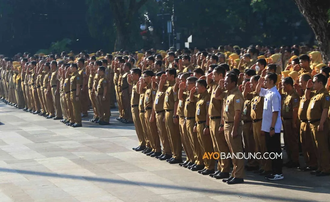 Ilustrasi jurusan kuliah yang memiliki peluang tinggi untuk lolos dalam seleksi CPNS dan PPPK tahun 2023.