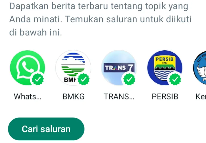 Pengguna WhatsApp Bisa Lakukan Trik Sederhana Ini Apabila&nbsp;Resah dengan Fitur Menu Saluran