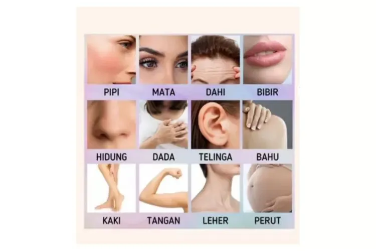 Tes Kepribadian: Dari Titik Keberadaan Tahi Lalat