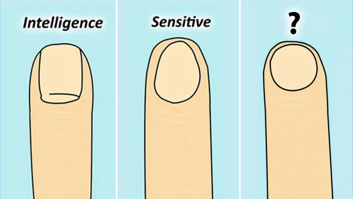 Tes Kepribadian: Ketahui Karakter yang Tidak Kamu Sadari dari Bentuk Kuku Jari Tangan, Tipe Kamu yang Mana?