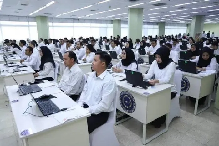 Rekrutmen CPNS Akan Segera Dimulai! Berikut Daftar Jurusan yang Banyak Dibutuhkan