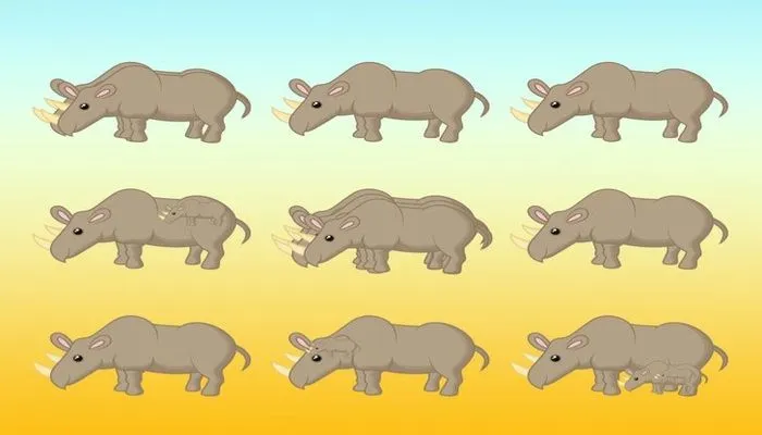 Tes IQ: Temukan Berapa Banyak Badak yang Kamu Lihat di Gambar Ini