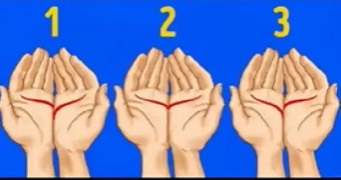Ilustrasi tes kepribadian