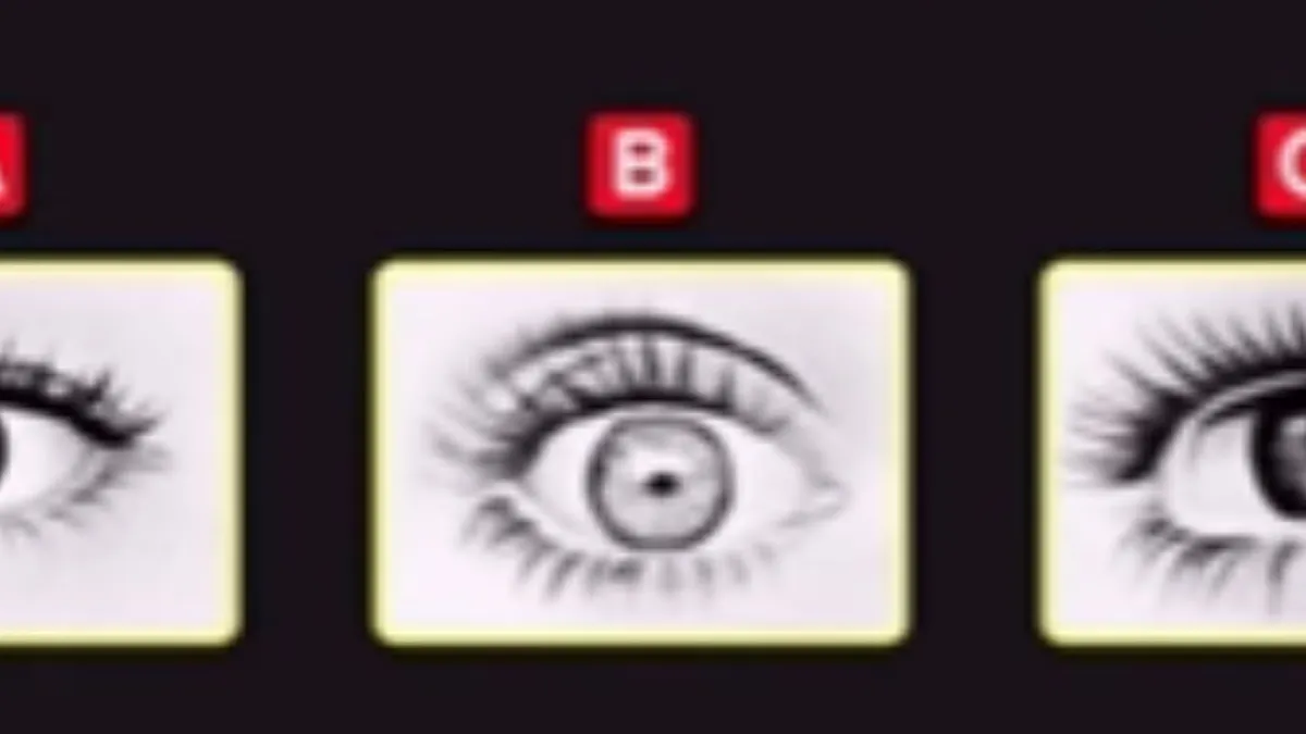 Illustrasi Tes Kepribadian