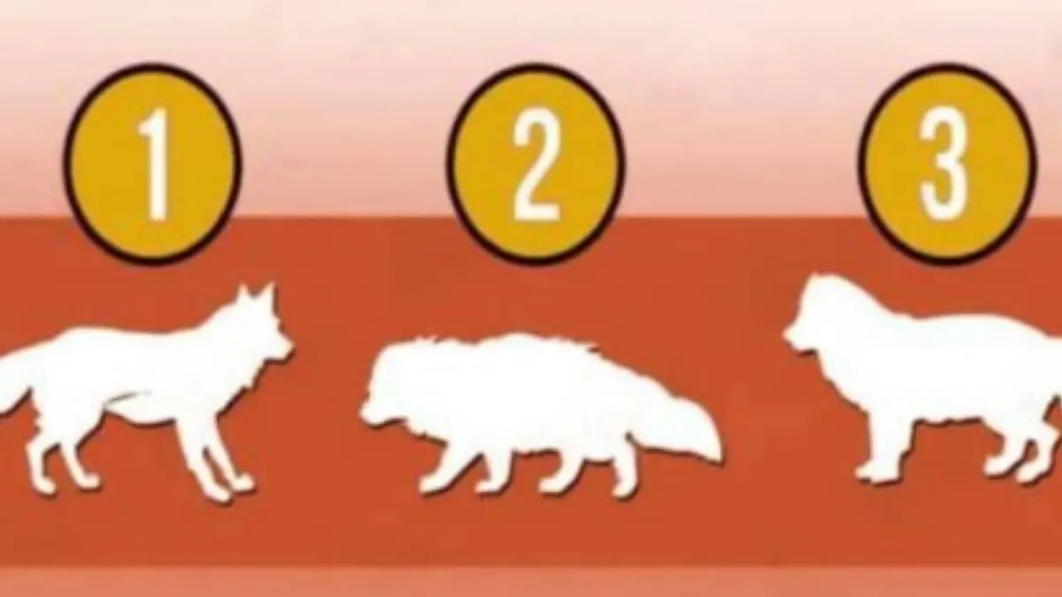 Illustrasi Tes Kepribadian