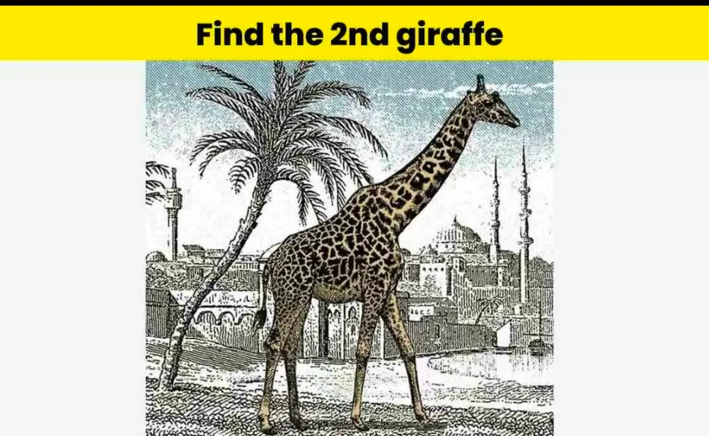 Tes Ilusi Optik: Temukan Kata GIRAFFE dalam Gambar Jerapah Ini, Asah Kemampuan Visual Kamu