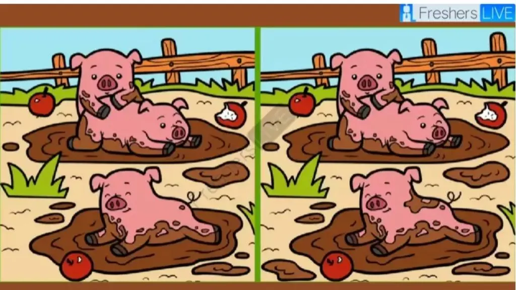 Tes Penglihatan: Lihat dengan Seksama dan Temukan 3 Perbedaan Pada Gambar Babi dalam 12 Detik!
