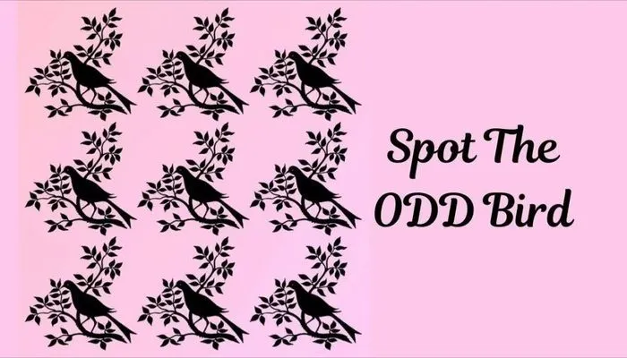 Tes IQ Burung Cantik yang Berbeda dalam 11 Detik!