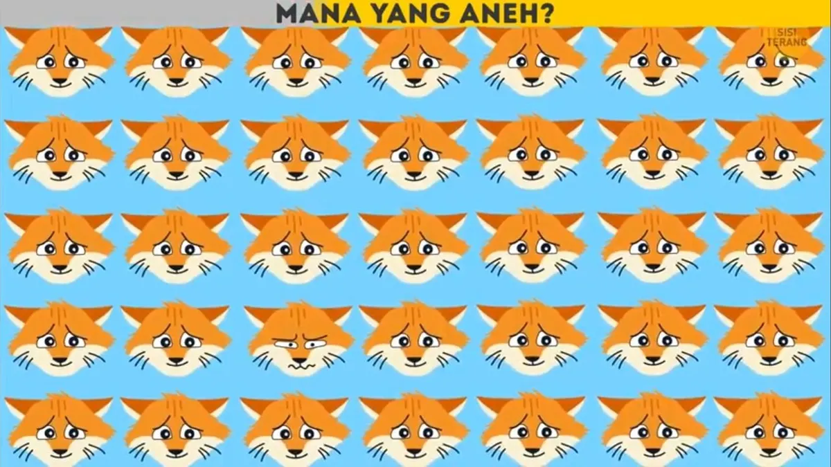 Tes Penglihatan: Dapatkah Kamu Menemukan Kucing Tersedih dalam Waktu 10 Detik?
