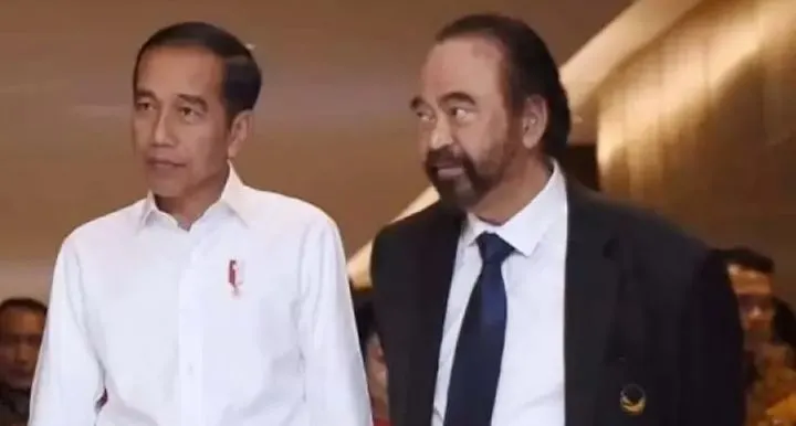 Surya Paloh Ketemu Presiden Joko Widodo di Istana