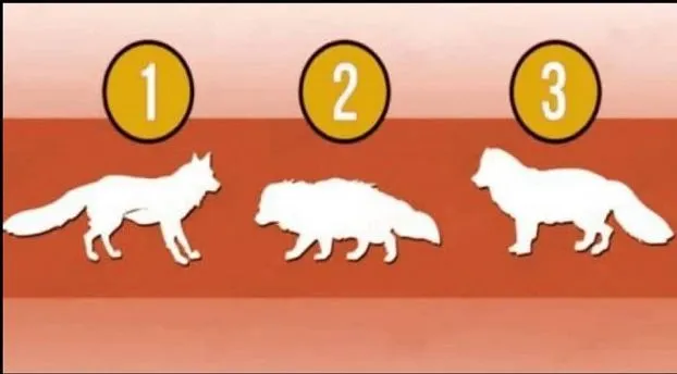 Ilustrasi tes kepribadian.