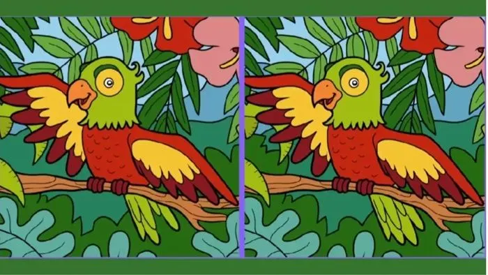 Tes Penglihatan: Gunakan Mata Tajammu dan Temukan 3 Perbedaan pada Gambar Burung Beo Ini!