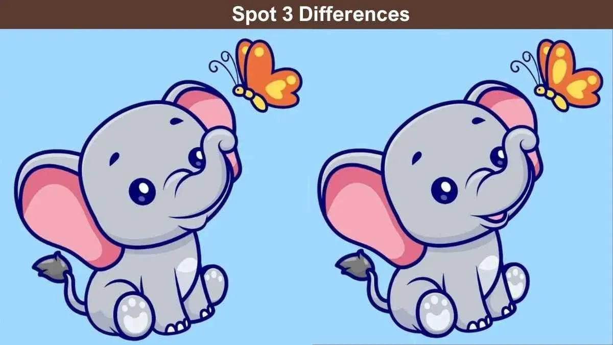 Tes IQ: Tunjukan Kemampuanmu dengan Menemukan 3 Perbedaan pada Gambar Bayi Gajah Ini dalam 10 Detik, Bisa?