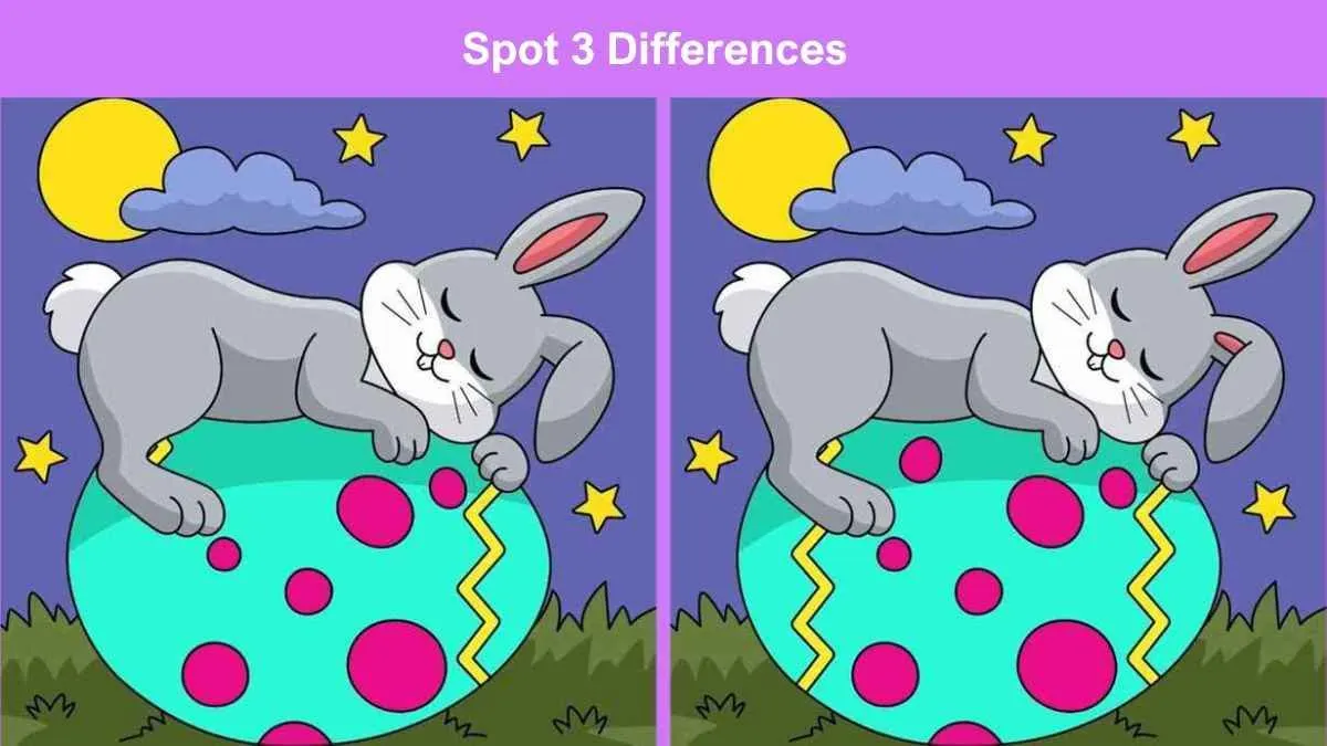 Tes IQ: Ada 3 Perbedaan pada Gambar Kelinci Tidur di Atas telur Ini