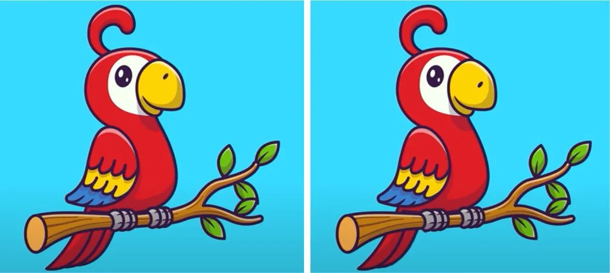 Tes Penglihatan: Yuk Asah Analisa Kamu, Coba Temukan 3 Perbedaan Pada Burung Macaw Ini (Jagran Josh)