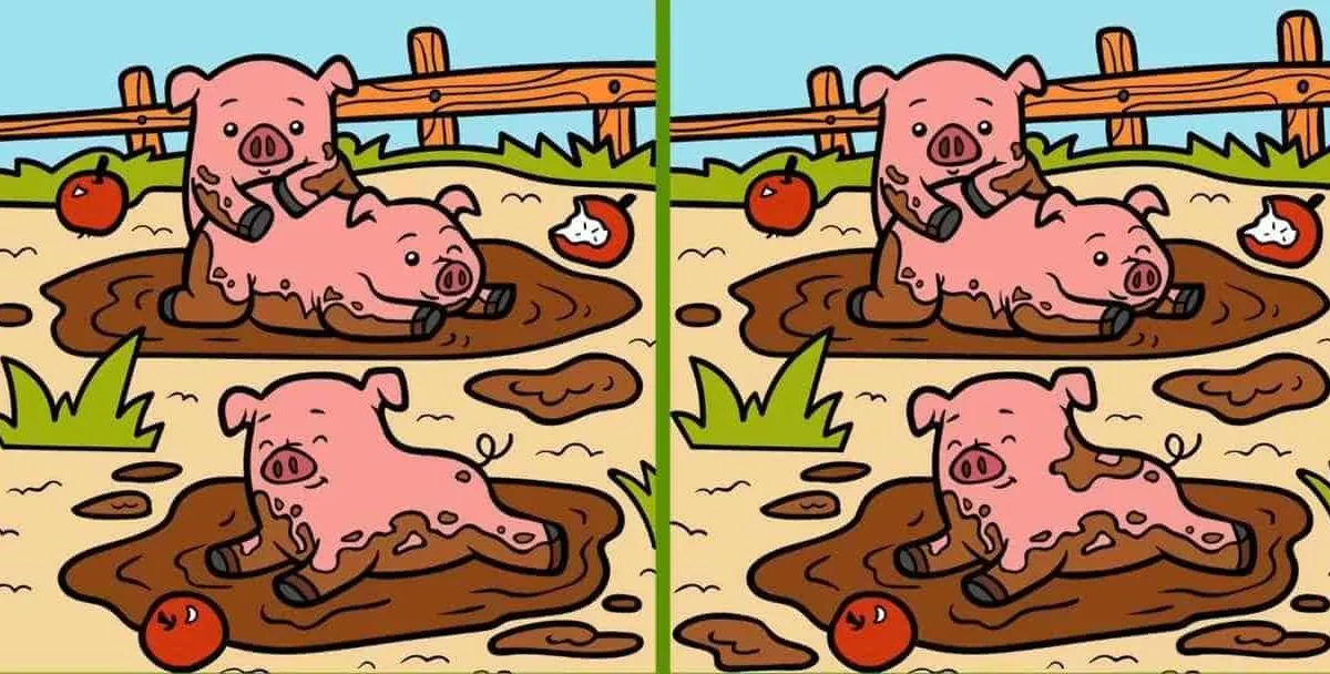 Tes IQ: Ada 3 Perbedaan pada Gambar Anak Babi Bermain Lumpur Ini, Kamu Melihatnya? Uji Kemampuan Observasi (Jagran Josh)