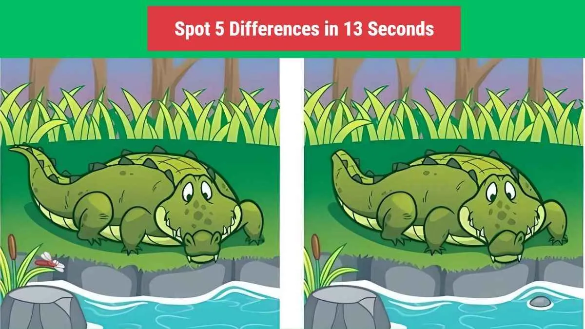 Tes IQ: Suka Tantangan? Coba Temukan 5 Perbedaan pada Gambar Buaya Ini, Kerahkan Kemampuan Detektif Kamu