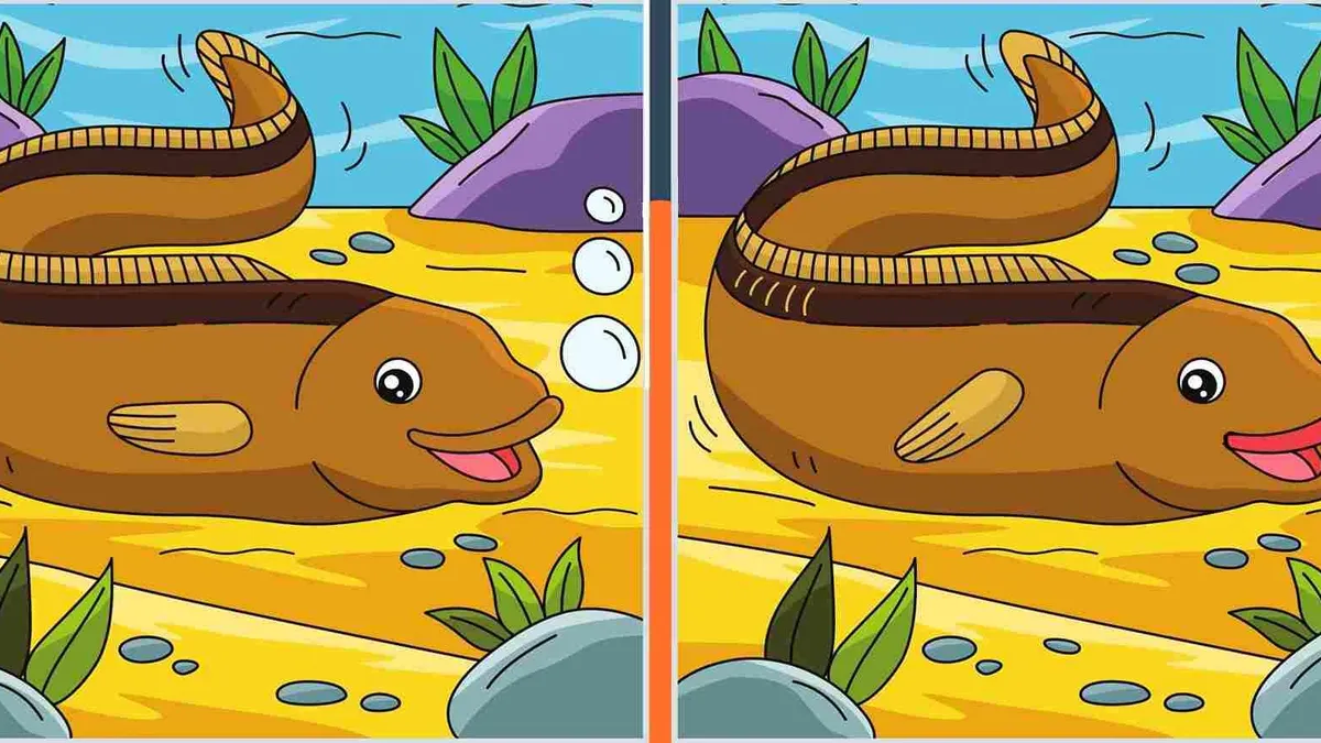 Tes Penglihatan: Yuk Uji Ketelitian Kamu, Coba Temukan 8 Perbedaan pada Gambar Belut Ini
