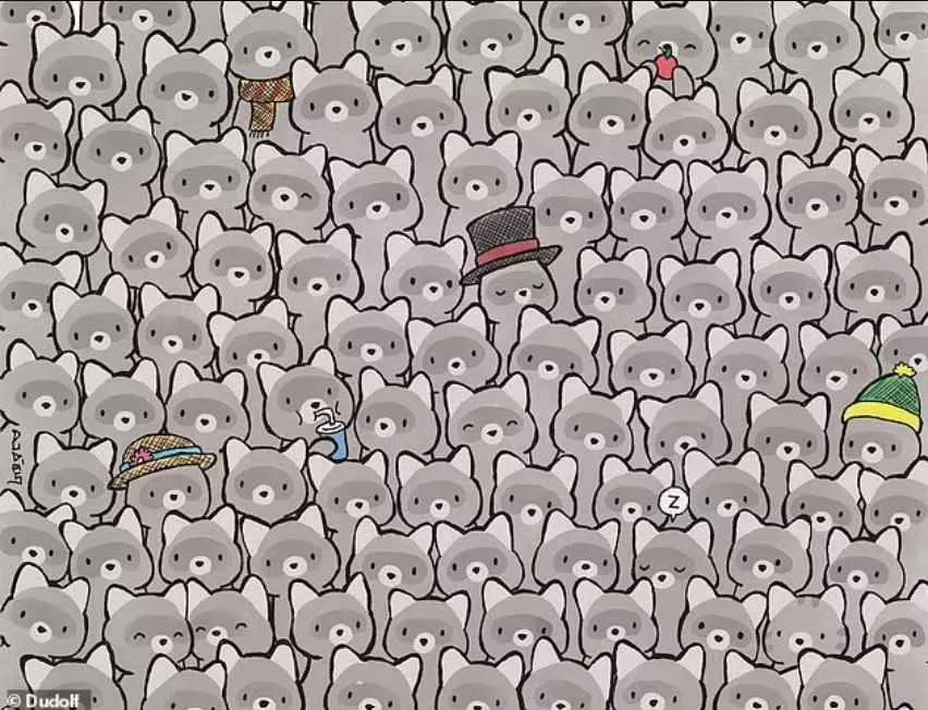 Tes Penglihatan: Coba Temukan Kucing di Antara Rakun untuk Asah Kemampuan Analisa Kamu