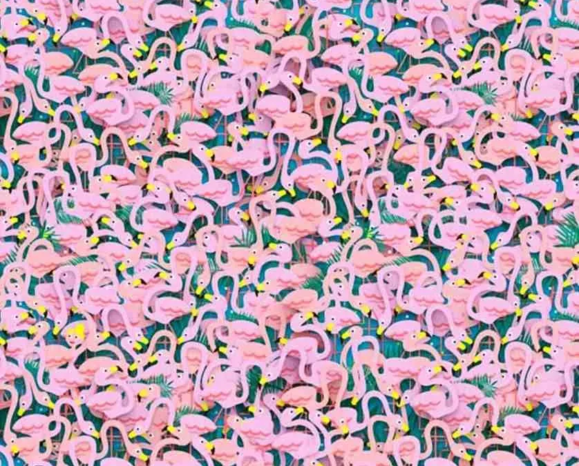 Tes Ilusi Optik: Temukan Penari Balet di Antara Flamingo untuk Uji Kemampuan Analisamu