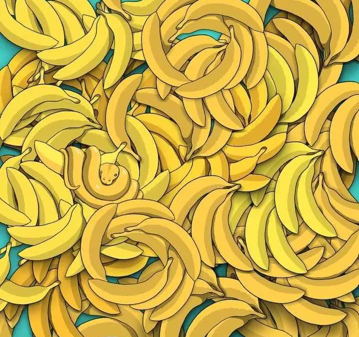 Tes Penglihatan: Ada Ular yang Bersembunyi di Antara Pisang, Bisa Kamu Menemukannya? Uji Kemampuan Observasi