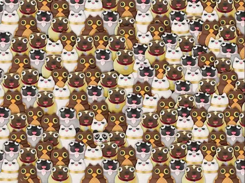 Tes Ilusi Optik: Temukan Panda di Antara Kucing, Anjing, dan Burung Hantu, Sanggup?