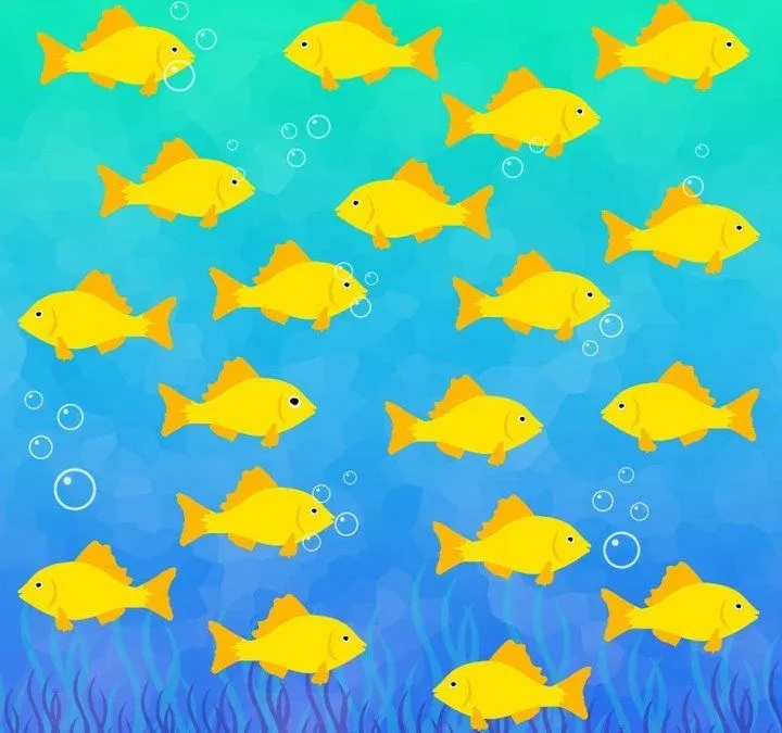 Tes IQ: Bisakah Kamu Menemukan Ikan Aneh di Gambar dalam Waktu 3 Detik?