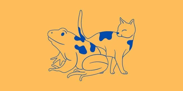 Cek kepribadian melalui gambar pilihan ini