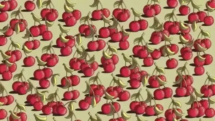 Ilustrasi tes ilusi optik