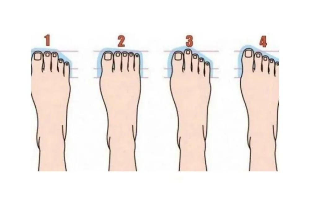 Terdapat 4 bentuk jari kaki, coba cek terlebih dahulu punya kamu termasuk gambar nomor berapa Ini bisa ungkap keperibadian aslimu.