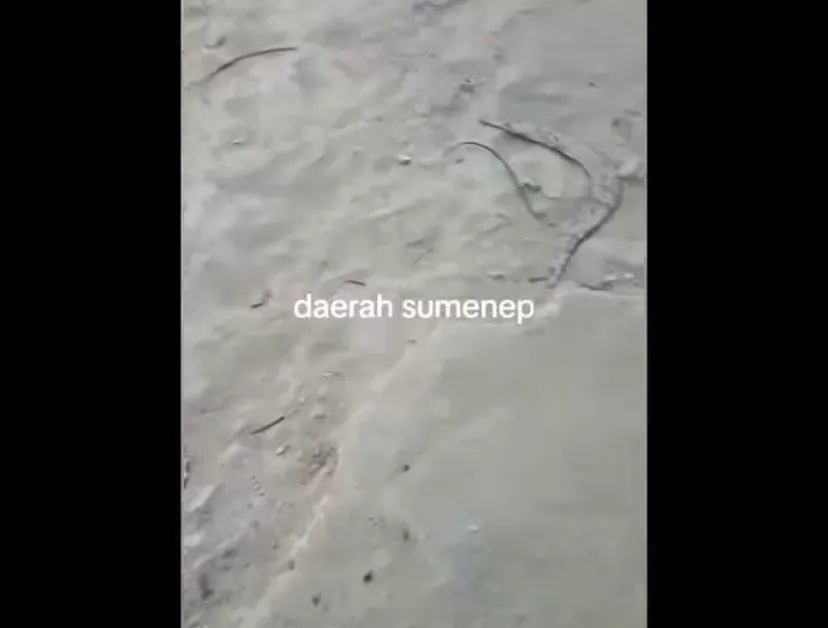 Terdengar suara dentuman keras dari bawah tanah tersebut menghebohkan warga desa di Kabupaten Sumenep, Jawa Timur.