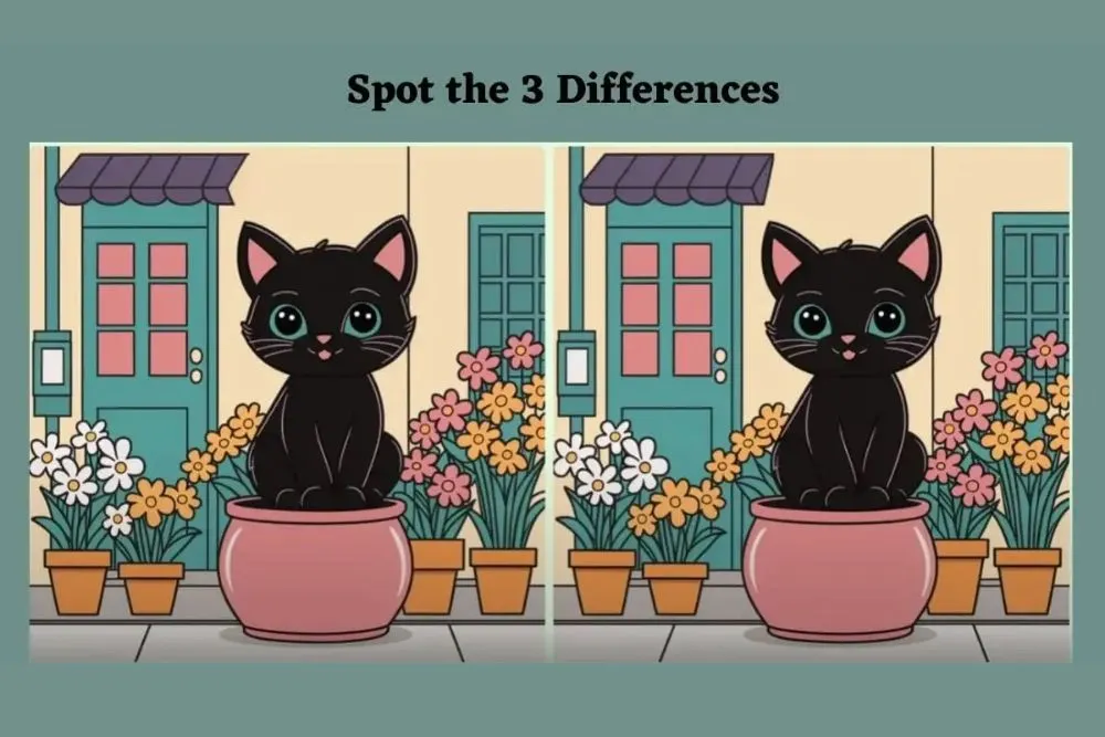 Tes IQ menemukan perbedaan pada kedua gambar kucing yang hampir mirip.