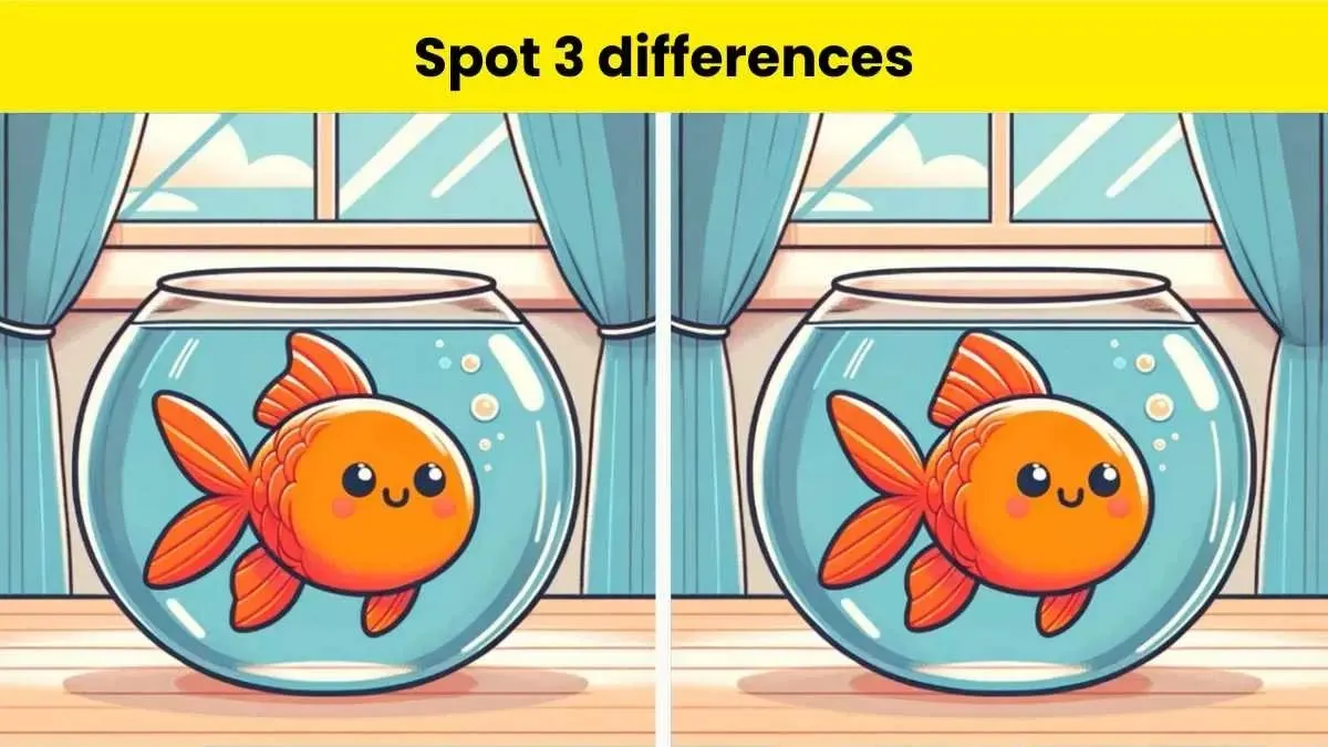 Ada tiga perbedaan di antara kedua gambar ikan dalam akuarium, bisakah kamu menemukan semua perbedaannya dalam 9 detik?