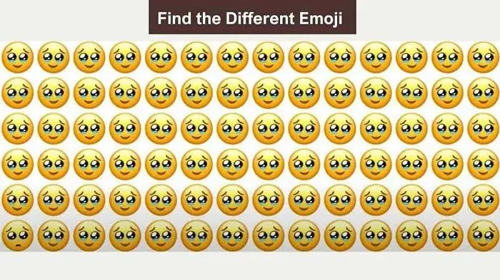 Tes IQ: Ada Emoji yang Berbeda di Antara Kumpulan Emoji yang Sama, Bisa Temukan?